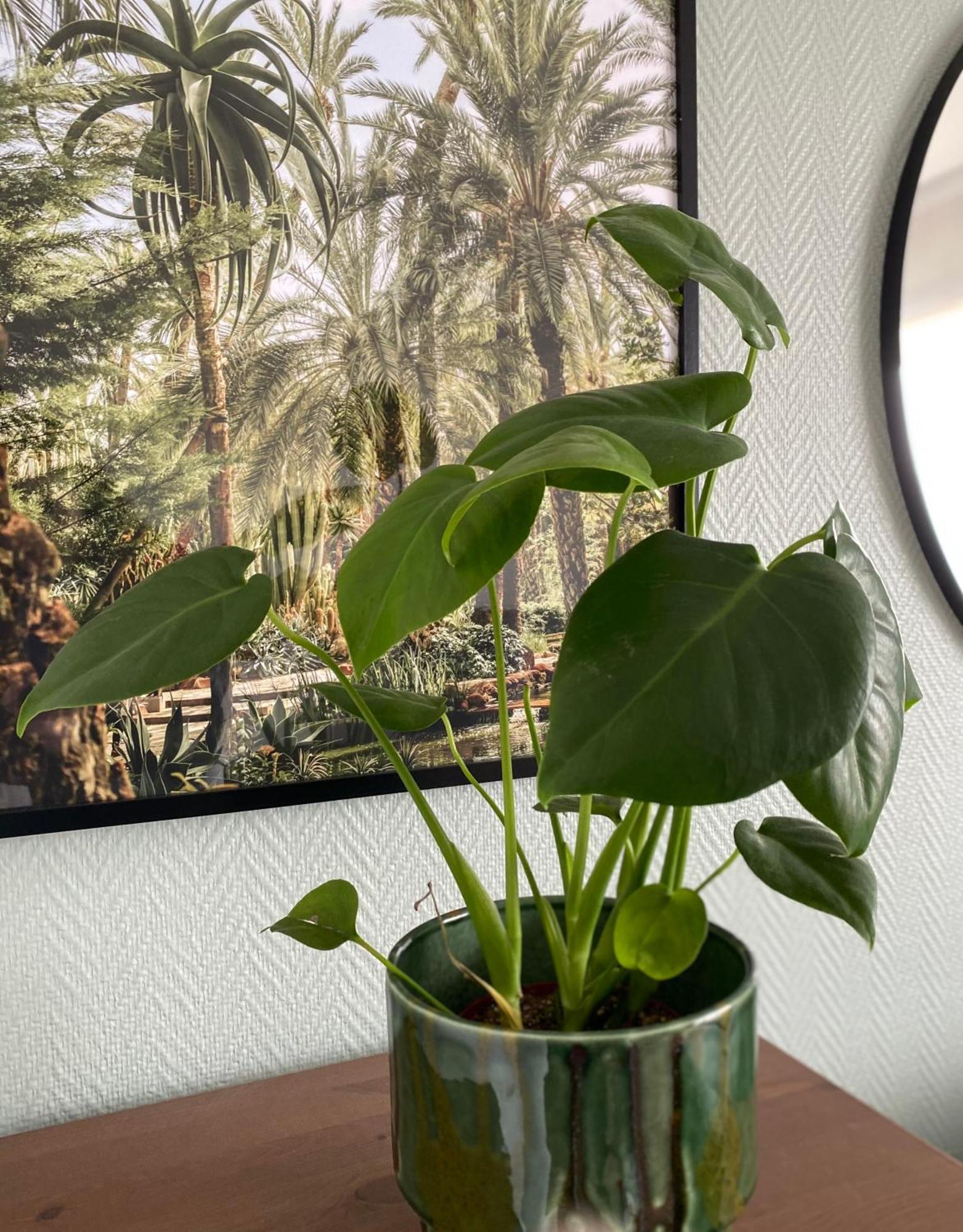 Cosy Apartment In La Defense كوربوفوا المظهر الخارجي الصورة